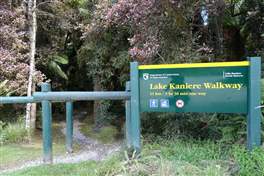 Kaniere Lake Walkway: found this place