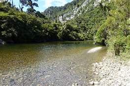 Punakaiki Pororari Loop - New Zealand: The flowing water