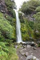 Mount Taranaki - Kapuni Loop: the waterfall