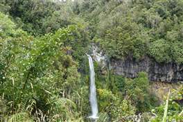 Monte Taranaki Kapuni Loop Dawson Falls: altri punti di osservazione