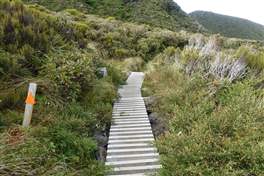 Mount Taranaki Stratford Plateau - Tahurangi Lodge: easy trail