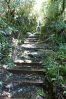 Mount Taranaki - Wilkies Pools: The path rise