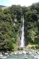 The Thunder Creek Falls - New Zealand: Thunder Creek Falls