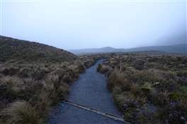 Tongariro Crossing: fog and rain