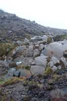 Tongariro Crossing: polished lava stones