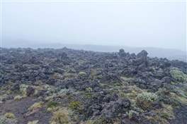 Tongariro Crossing: old lava flows