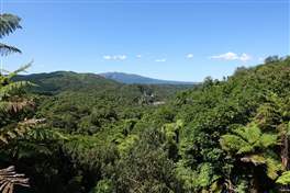 Waimangu Volcanic Valley: panorama della valle verde e selvaggia