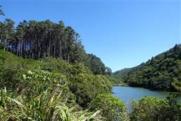 Zealandia Nature Reserve: There is a small lake inside the park