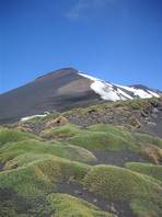 Salita verso il cratere Centrale dalla Schiena dell'Asino - Etna: l'ultima vegetazione