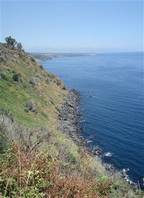 Timpa Nature reserve, Acireale: the hill falling sharply into the sea