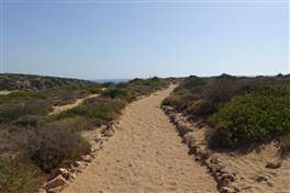 Spiaggia di Calamosche: il sentiero diventa sabbioso