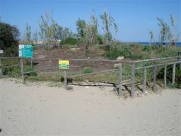 Riserva naturale di Vendicari: alla spiaggia