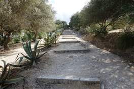Area archeologica Segesta: salita verso il tempio